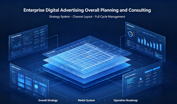 Enterprise Digital Advertising Overall Planning and Consulting